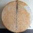 Geiten drum 65cm