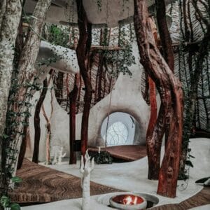 Ayurveda & Yoga