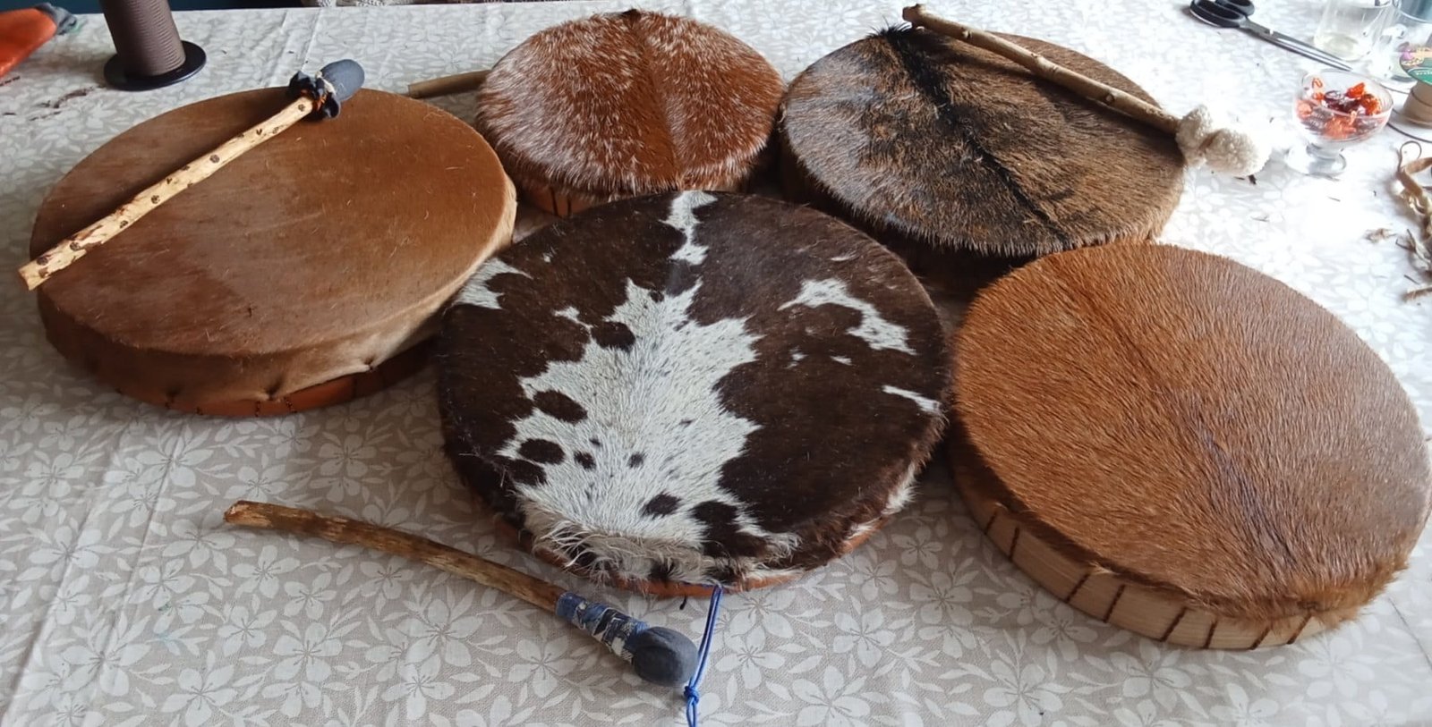 Vijf afgemaakte sjamanendrums met verschillende huiden naast elkaar op tafel, met twee drumstokken ernaast