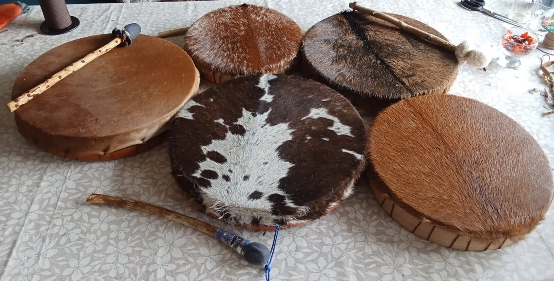 Vijf afgemaakte sjamanendrums met verschillende huiden naast elkaar op tafel, met twee drumstokken ernaast